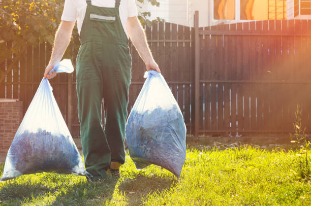 Best Full-Service Junk Removal  in Ansted, WV