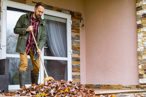 Best Furniture Removal Near Me  in Ansted, WV